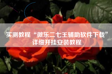 实测教程“微乐二七王辅助软件下载”详细开挂安装教程