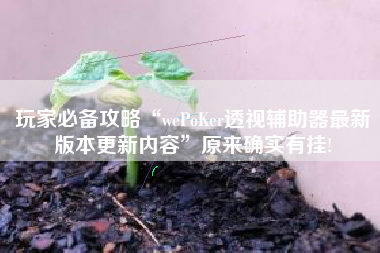 玩家必备攻略“wePoKer透视辅助器最新版本更新内容	”原来确实有挂!