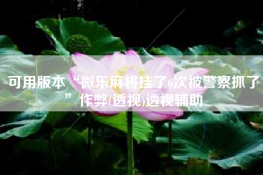 可用版本“微乐麻将挂了6次被警察抓了”作弊(透视)透视辅助