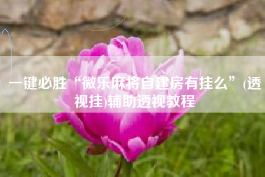 一键必胜“微乐麻将自建房有挂么”(透视挂)辅助透视教程