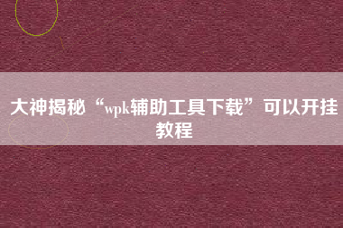 大神揭秘“wpk辅助工具下载”可以开挂教程