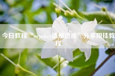 今日教程“wepoker德州透视”分享用挂教程