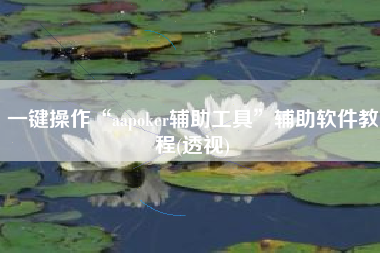 一键操作“aapoker辅助工具”辅助软件教程(透视)