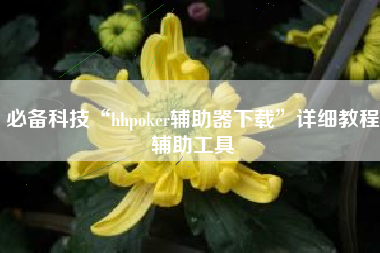 必备科技“hhpoker辅助器下载	”详细教程辅助工具