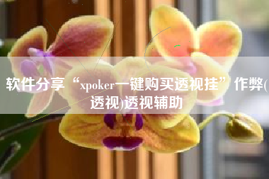 软件分享“xpoker一键购买透视挂”作弊(透视)透视辅助