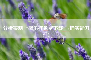 分析实测“微乐挂免费下载”(确实能开挂)