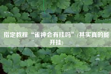 指定教程“雀神会有挂吗”(其实真的能开挂)