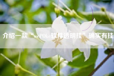 介绍一款“wePOke软件透明挂”确实有挂