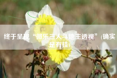 终于呈现“微乐三人斗地主透视”(确实是有挂)