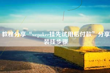 教程分享“wepoker挂先试用后付款”分享装挂步骤