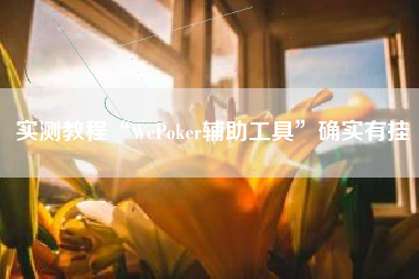 实测教程“WePoker辅助工具	”确实有挂
