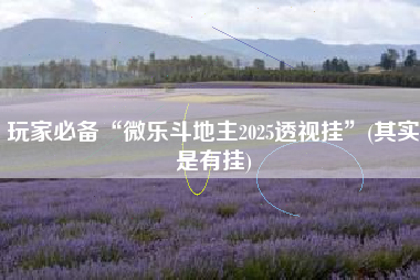 玩家必备“微乐斗地主2025透视挂	”(其实是有挂)