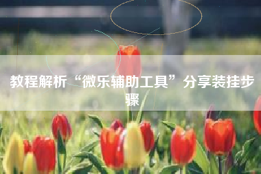 教程解析“微乐辅助工具	”分享装挂步骤