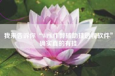 我来告诉你“WPK作弊辅助挂透视软件	”确实真的有挂