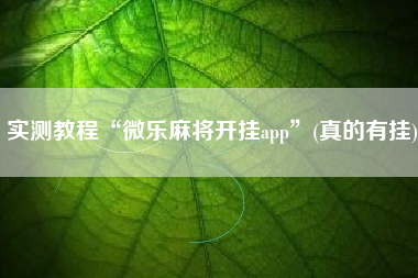 实测教程“微乐麻将开挂app”(真的有挂)