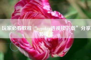 玩家必看教程“agpoker透视挂下载	”分享装挂详