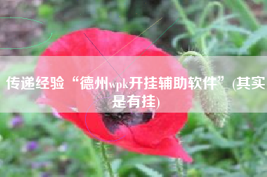 传递经验“德州wpk开挂辅助软件”(其实是有挂)