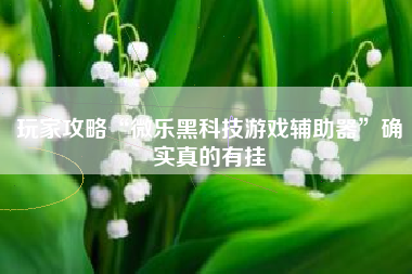 玩家攻略“微乐黑科技游戏辅助器”确实真的有挂