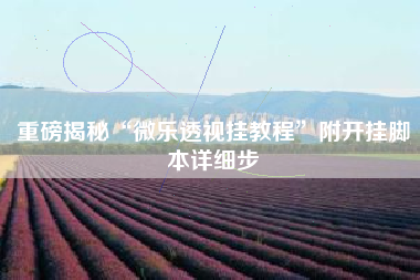 重磅揭秘“微乐透视挂教程”附开挂脚本详细步