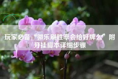 玩家必备“微乐刷胜率会给好牌么”附开挂脚本详细步骤