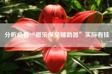 分析必看“微乐保皇辅助器	”实际有挂