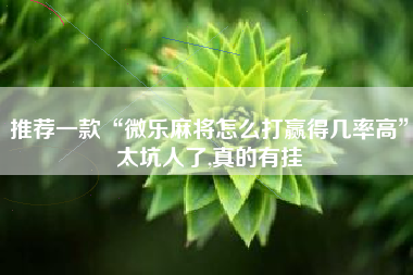 推荐一款“微乐麻将怎么打赢得几率高”太坑人了,真的有挂