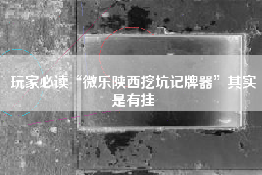 玩家必读“微乐陕西挖坑记牌器	”其实是有挂