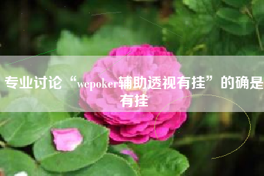 专业讨论“wepoker辅助透视有挂”的确是有挂