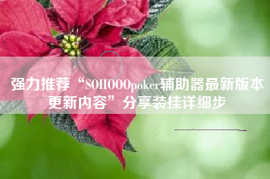 强力推荐“SOHOOOpoker辅助器最新版本更新内容”分享装挂详细步