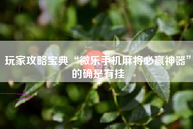玩家攻略宝典“微乐手机麻将必赢神器”的确是有挂