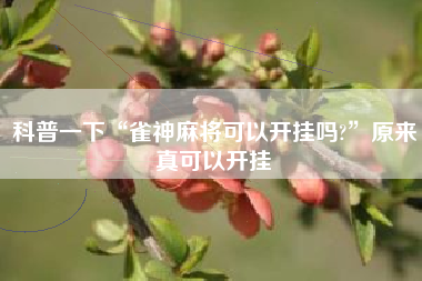 科普一下“雀神麻将可以开挂吗?”原来真可以开挂