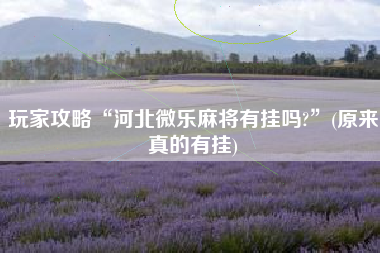 玩家攻略“河北微乐麻将有挂吗?”(原来真的有挂)