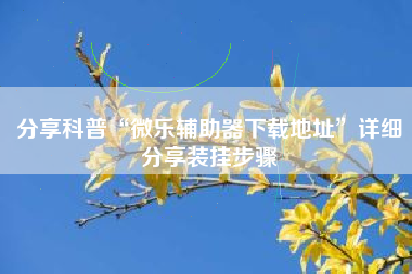 分享科普“微乐辅助器下载地址	”详细分享装挂步骤