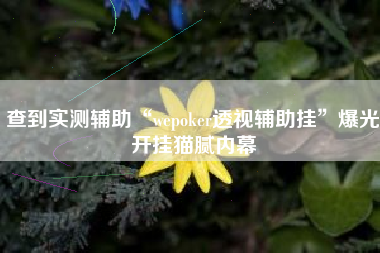 查到实测辅助“wepoker透视辅助挂	”爆光开挂猫腻内幕