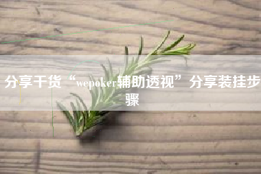 分享干货“wepoker辅助透视”分享装挂步骤