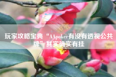 玩家攻略宝典“AApoker有没有透视公共牌”其实确实有挂