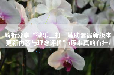 解析分享“微乐三打一辅助器最新版本更新内容与理念评价”(原来真的有挂)
