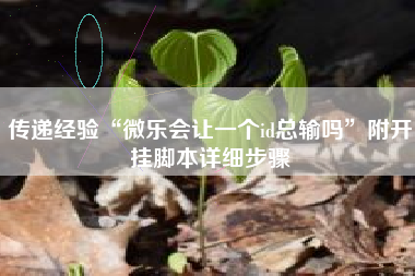 传递经验“微乐会让一个id总输吗”附开挂脚本详细步骤