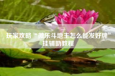 玩家攻略“微乐斗地主怎么能发好牌”挂辅助教程