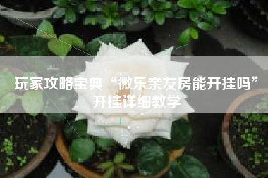 玩家攻略宝典“微乐亲友房能开挂吗”开挂详细教学