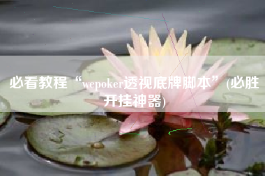 必看教程“wepoker透视底牌脚本”(必胜开挂神器)