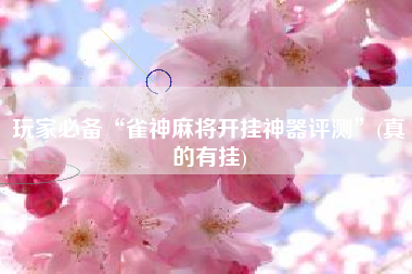 玩家必备“雀神麻将开挂神器评测”(真的有挂)