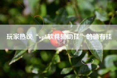 玩家热议“wpk软件辅助挂”的确有挂
