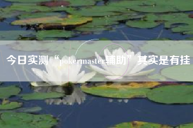 今日实测“pokermaster辅助”其实是有挂