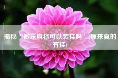 揭秘“微乐麻将可以装挂吗”(原来真的有挂)