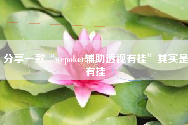 分享一款“wepoker辅助透视有挂”其实是有挂