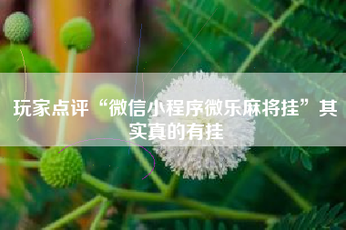 玩家点评“微信小程序微乐麻将挂”其实真的有挂