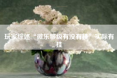 玩家综述“微乐够级有没有挂	”实际有挂