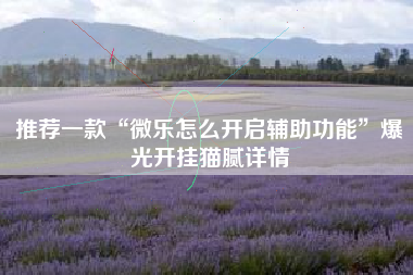 推荐一款“微乐怎么开启辅助功能	”爆光开挂猫腻详情
