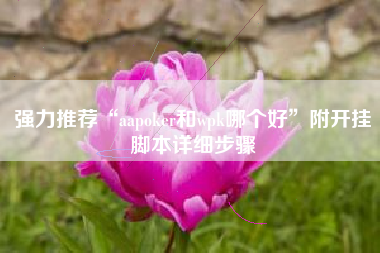 强力推荐“aapoker和wpk哪个好	”附开挂脚本详细步骤